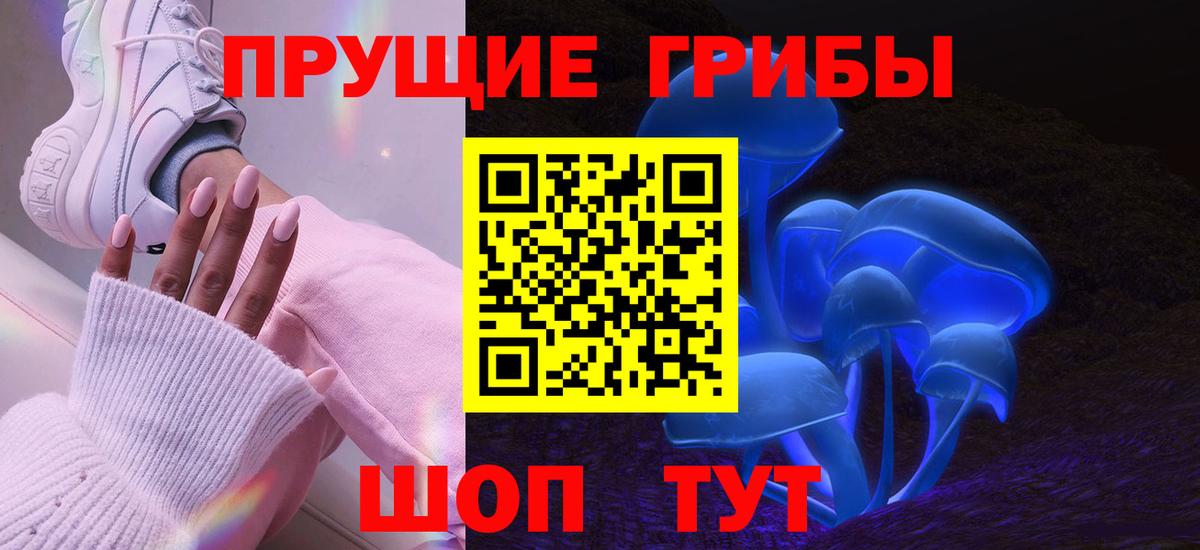 Галлюциногенные грибы Psilocybe Асбест
